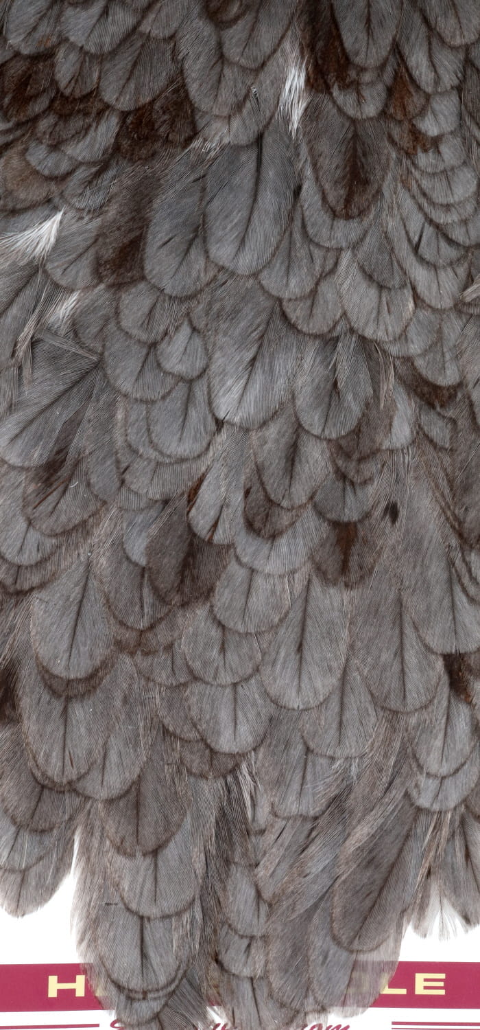 Whiting Coq de Leon Hen Saddle